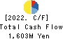 TAIHEIYO KOUHATSU INCORPORATED Cash Flow Statement 2022年3月期