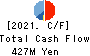 SK JAPAN CO.,LTD. Cash Flow Statement 2021年2月期