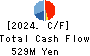 SE Holdings and Incubations Co.,Ltd. Cash Flow Statement 2024年3月期