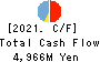 Nissan Securities Group Co., Ltd. Cash Flow Statement 2021年Mar期 Nissan Securities Group Co., Ltd. Cash Flow Statement 2021年3月期
