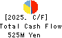 HIGASHIMARU CO.,LTD. Cash Flow Statement 2025年Mar期 HIGASHIMARU CO.,LTD. Cash Flow Statement 2025年3月期