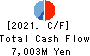 SHINNIHON CORPORATION Cash Flow Statement 2021年3月期