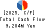 SHIBAURA MACHINE CO., LTD. Cash Flow Statement 2025年3月期