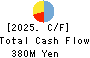 Japan Tissue Engineering Co., Ltd. Cash Flow Statement 2025年3月期