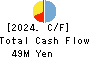 FRIENDLY CORPORATION Cash Flow Statement 2024年Mar期 FRIENDLY CORPORATION Cash Flow Statement 2024年3月期