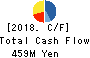 Kawasaki Geological Engineering Co.,Ltd. Cash Flow Statement 2018年11月期