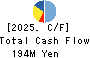 HOSOYA PYRO-ENGINEERING CO.,LTD. Cash Flow Statement 2025年3月期