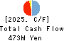 Def consulting,inc. Cash Flow Statement 2025年3月期