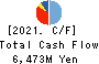 Shinko Shoji Co.,Ltd. Cash Flow Statement 2021年Mar期 Shinko Shoji Co.,Ltd. Cash Flow Statement 2021年3月期