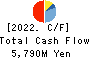 Nissan Securities Group Co., Ltd. Cash Flow Statement 2022年Mar期 Nissan Securities Group Co., Ltd. Cash Flow Statement 2022年3月期
