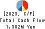 WELLNET CORPORATION Cash Flow Statement 2023年Jun期 WELLNET CORPORATION Cash Flow Statement 2023年6月期