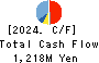 SANKYO KASEI CORPORATION Cash Flow Statement 2024年3月期
