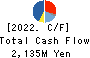 Nippon Pigment Company Limited Cash Flow Statement 2022年3月期
