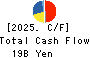 NIPPN CORPORATION Cash Flow Statement 2025年Mar期 NIPPN CORPORATION Cash Flow Statement 2025年3月期