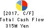 TEIN, INC. Cash Flow Statement 2017年Mar期 TEIN, INC. Cash Flow Statement 2017年3月期