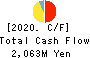 TAIHEIYO KOUHATSU INCORPORATED Cash Flow Statement 2020年Mar期 TAIHEIYO KOUHATSU INCORPORATED Cash Flow Statement 2020年3月期