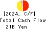 CREATE SD HOLDINGS CO.,LTD. Cash Flow Statement 2024年5月期