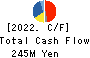 TAIYO INDUSTRIAL CO.,LTD. Cash Flow Statement 2022年12月期
