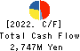 SAINT-CARE HOLDING CORPORATION Cash Flow Statement 2022年Mar期 SAINT-CARE HOLDING CORPORATION Cash Flow Statement 2022年3月期