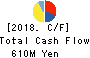 TSUNAGU GROUP HOLDINGS Inc. Cash Flow Statement 2018年9月期