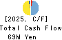 NFK HOLDINGS CO.,LTD Cash Flow Statement 2025年Mar期 NFK HOLDINGS CO.,LTD Cash Flow Statement 2025年3月期