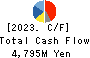 MANDOM CORPORATION Cash Flow Statement 2023年Mar期 MANDOM CORPORATION Cash Flow Statement 2023年3月期
