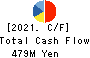 Excite Holdings Co.,Ltd. Cash Flow Statement 2021年Mar期 Excite Holdings Co.,Ltd. Cash Flow Statement 2021年3月期