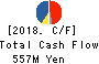 HOTEL NEWGRAND CO.,LTD. Cash Flow Statement 2018年Nov期 HOTEL NEWGRAND CO.,LTD. Cash Flow Statement 2018年11月期