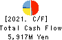 NIPPON THOMPSON CO.,LTD. Cash Flow Statement 2021年3月期
