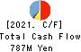YAMASHINA CORPORATION Cash Flow Statement 2021年3月期