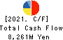 KYOKUTO KAIHATSU KOGYO CO.,LTD. Cash Flow Statement 2021年3月期