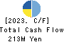 Writeup Co.,Ltd. Cash Flow Statement 2023年Mar期 Writeup Co.,Ltd. Cash Flow Statement 2023年3月期