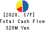 KENSOH CO.,LTD. Cash Flow Statement 2020年3月期