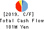 YAMANO HOLDINGS CORPORATION Cash Flow Statement 2019年3月期