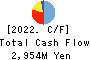 FUSO DENTSU CO.,LTD. Cash Flow Statement 2022年9月期