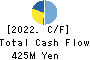 KAWAGUCHI CHEMICAL INDUSTRY CO.,LTD. Cash Flow Statement 2022年11月期