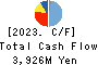 IWASAKI ELECTRIC CO.,LTD. Cash Flow Statement 2023年3月期