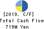 HIGASHIMARU CO.,LTD. Cash Flow Statement 2019年3月期