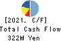 CyberBuzz, Inc. Cash Flow Statement 2021年9月期