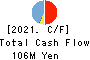CLUSTER TECHNOLOGY CO., LTD. Cash Flow Statement 2021年Mar期 CLUSTER TECHNOLOGY CO., LTD. Cash Flow Statement 2021年3月期