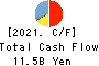 Dainichiseika Color & Chemicals Mfg.Co. Cash Flow Statement 2021年3月期