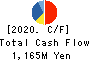 Ifuji Sangyo Co.,Ltd. Cash Flow Statement 2020年3月期