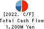 YAIZU SUISANKAGAKU INDUSTRY CO.,LTD. Cash Flow Statement 2022年3月期