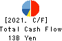 Mitsubishi Paper Mills Limited Cash Flow Statement 2021年3月期