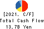 TAKASAGO INTERNATIONAL CORPORATION Cash Flow Statement 2021年Mar期 TAKASAGO INTERNATIONAL CORPORATION Cash Flow Statement 2021年3月期