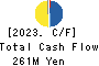 Datasection Inc. Cash Flow Statement 2023年Mar期 Datasection Inc. Cash Flow Statement 2023年3月期