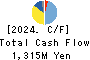 TENOX CORPORATION Cash Flow Statement 2024年3月期