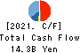 DAI-DAN CO.,LTD. Cash Flow Statement 2021年Mar期 DAI-DAN CO.,LTD. Cash Flow Statement 2021年3月期