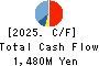 Solekia Limited Cash Flow Statement 2025年Mar期 Solekia Limited Cash Flow Statement 2025年3月期