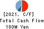 AI,Inc. Cash Flow Statement 2021年Mar期 AI,Inc. Cash Flow Statement 2021年3月期